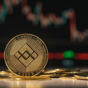 Binance Coin Critical Test: Will BNB Hold Or Plunge To $214?