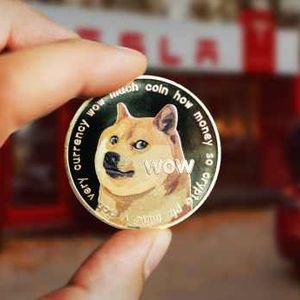 Technical Indicator Shows Ongoing Rally For Dogecoin Despite Bearish Developments