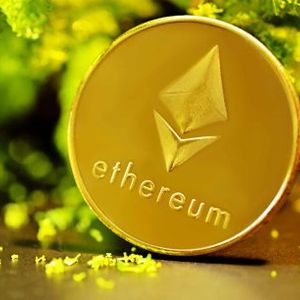 Ethereum, Dogecoin, And The Altcoin Market: Why Up-Only For 217 Days Is Possible