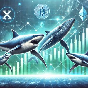 Dogecoin Shark & Whale Population Rises—Price Turnaround Incoming?