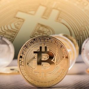 A Large Number of Bitcoin Retail Investors Incur Losses, BIS Study Reveals
