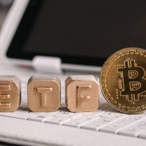 Bitcoin Spot ETFs Score $1.81 Billion In Net Inflows As Market Revival Continues