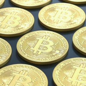 Bitcoin “Diamond Hands” Have Dumped 84.5k BTC Since FTX Collapse