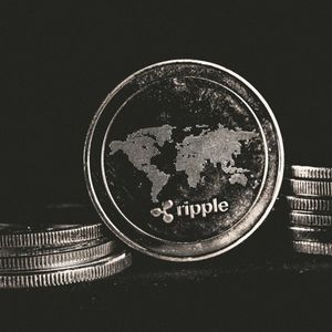 XRP Daily New Addresses Plunge 80% In 2025 — Bearish On-Chain Metrics Raise Alarm