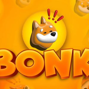 Analyst Says Buying This Meme Coin Is A 3X Leveraged Play If Solana ETFs Go Live