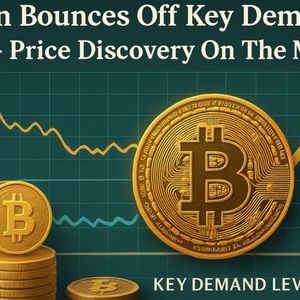 Bitcoin Bounces Off Key Demand Level – Price Discovery On The Menu?