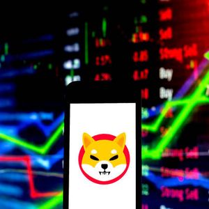 Shiba Inu Price Could See 180% Explosion As This Indicator Flashes Bullish Divergence