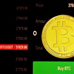 Bitcoin Heating Up? NVT Golden Cross Hints At Potential Local Top