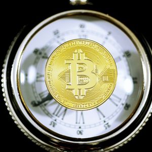Bitcoin Sees Rising New Investor Dominance, Old Holders Yet To Capitulate
