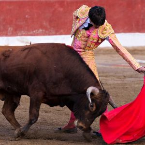 Bitcoin Analyst Builds BTC’s Bullish Case After Binance Volume Spike, Fed Liquidity Surge