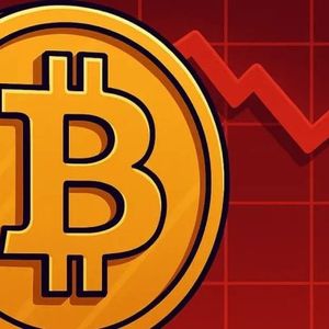 Two Scenarios Map Out Bitcoin Price Crash After Recovery