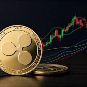 What’s Next For XRP After Crashing Below $3? Analyst Answers