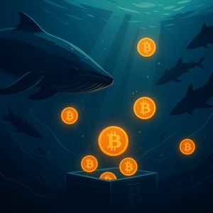 Bitcoin Bullish Signal: Sharks & Whales Are Buying The Dip