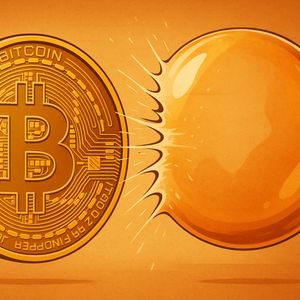 Is The Bitcoin Treasury Bubble Popping? Expert Answers
