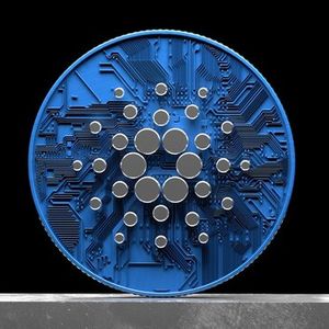 Cardano Whales Scoop Up 100 Million ADA In 24 Hours – Is A Mega Rally Brewing?