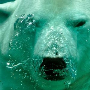 Analyst Says XRP Price Is Yet To Hit Its First Bearish Target – Details