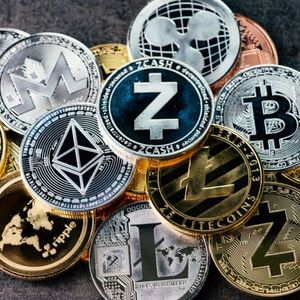 Crypto Tumbles Hard: Google Search Trends Call Last Local Market Top