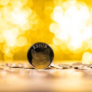 Shiba Inu Active Addresses Crash Over 50% In 3 Months, What About SHIB Price?