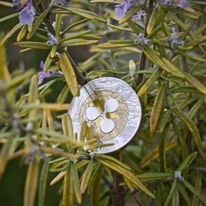 XRP Gears Up For Breakout, But Bearish Divergence Clouds Outlook