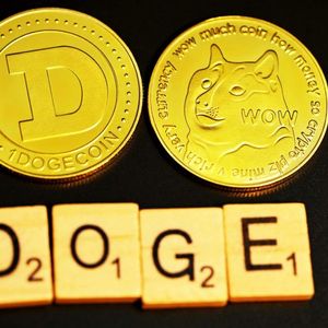 Dogecoin Price Taps IMB Zone – What This Means And Where The Price Is Headed