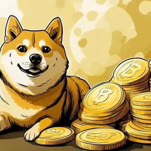 Dogecoin RSI Breakout Shows Main Target, Why $1 Is Still Possible