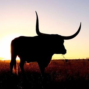 XRP Sparks Bullish Frenzy As Top Software Dev Says It Beats ETF Hype XRP Sparks Bullish Frenzy As Top Software Dev Says It Beats ETF Hype
