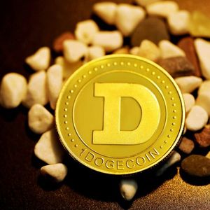 Dogecoin Down 20% – But Some Think This Is When The Real Gains Start