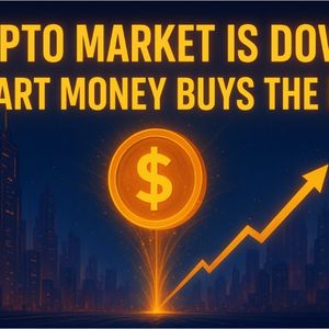 Crypto Market Is Down: Smart Money Buys the Dip Crypto Market Is Down: Smart Money Buys the Dip