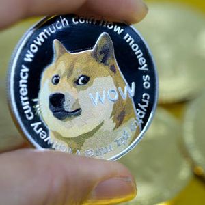 Here’s Why Dogecoin And Shiba Inu Prices Are Crashing, Is A Recovery Possible?
