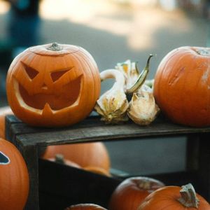 Get Ready — The End Of November Will Be Massive For XRP, CEO Says