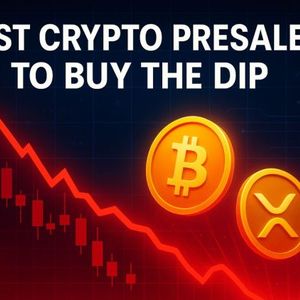 Best Crypto Presales To Buy The Dip While The Market Is Down