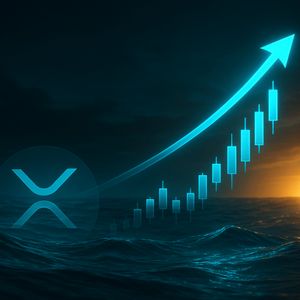 XRP Whale Wallets Collapse 20%, But Biggest Holders Hoard More Than Ever
