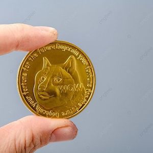 Dogecoin Price Can Stage A 96% Rally If It Breaks This Falling Wedge Pattern