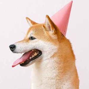 Dogecoin’s Dozen Years: King Of Meme Coins Marks 12th Birthday In Rough Markets