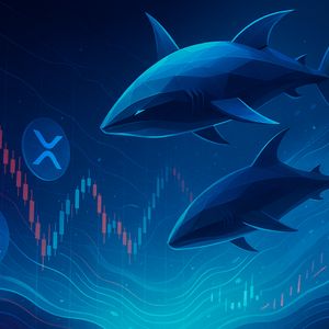 XRP Selloff: Whales Shed Coins Worth $1 Billion In A Week