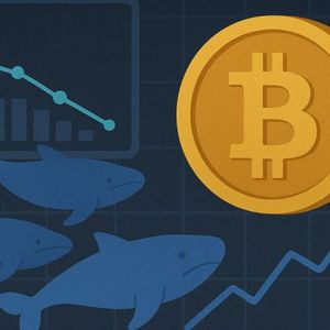 Bitcoin Whales Refuse to Sell: Historic Signal Emerges As Binance CDD Drops To 2017 Levels