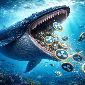 XRP Whales Wake Up: $100,000+ Transfers Hit 3-Month High