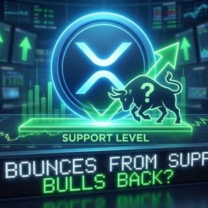 XRP Price Finds Its Footing at Support, Bulls Test Their Strength