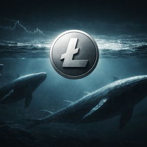 Litecoin Whale Activity Spikes To 5-Week High: Reversal Or Continuation Signal?