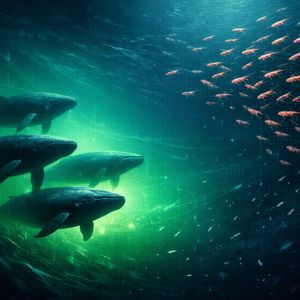 Bitcoin Rally Accompanied By ‘Very Bullish’ Whale-Retail Behavior, Santiment Says