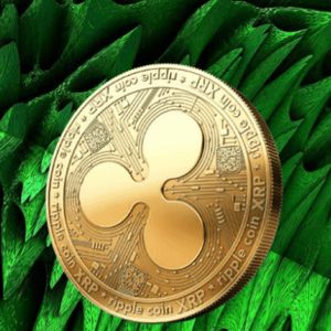 Something Big Is Brewing In XRP DeFi—And 91 Million Tokens Tell The Story