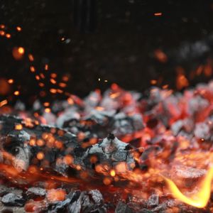 Rising Above The Ashes: XRP ETFs Set New Record Despite Market Crash