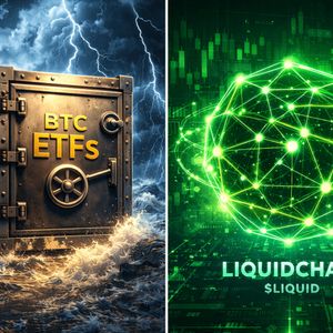 Institutional Hands Hold Firm: Bitcoin ETFs Absorb Shock While LiquidChain Defies Gravity