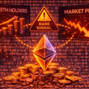 Long-Term Ethereum Holders Expand Positions While Market Faces Pressure: Rare Signal Emerges