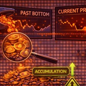 Ethereum Whale Losses Mirror Past Bottoms: Accumulation Continues Despite Pressure