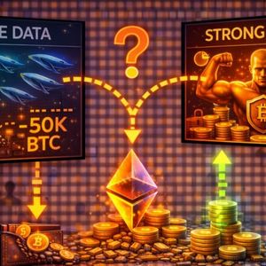 Is Bitcoin Supply Moving To Strong Hands? Whale Data Suggest Structural Shift