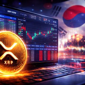 This Korean XRP Exchange Data Has The Community Losing It