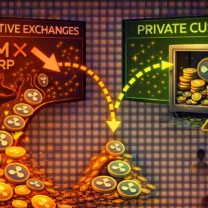 The 200 Million XRP Exodus: Investors Swap Speculation For Private Custody