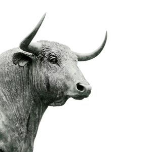 Bitcoin Market Bleeds $1 Trillion, Saylor Signals Strongest Crypto Conviction Yet