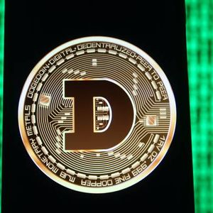 Dogecoin RSI Has Crashed To Lowest Level Since Launch, Analyst Predicts Next Target